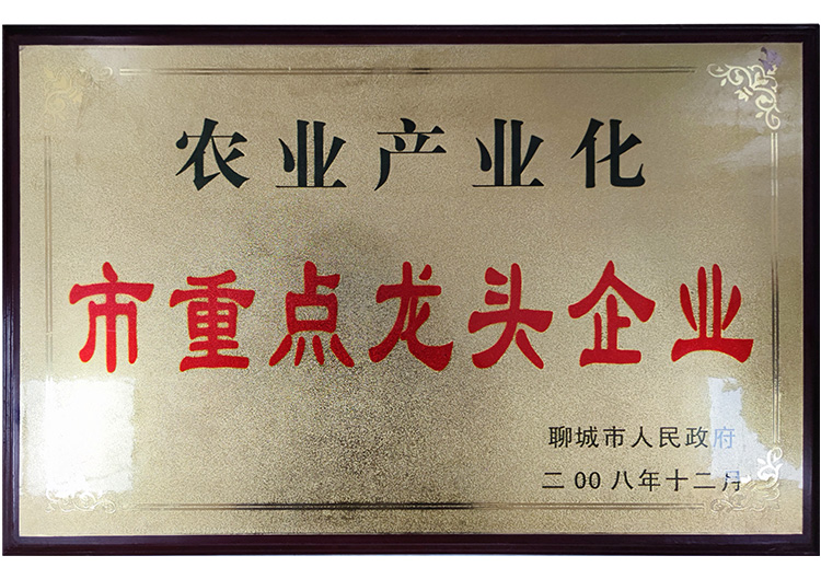 龙头企业2.jpg