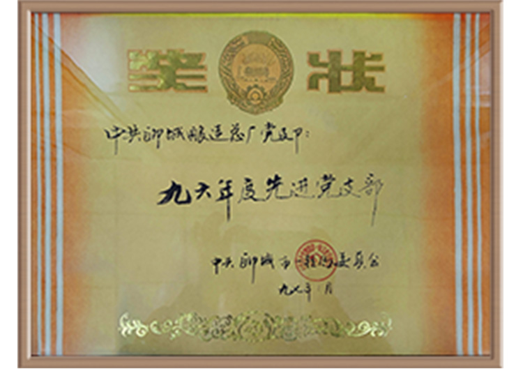 奖状-.jpg